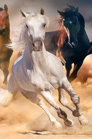 Majestic Gallop 🌪️🐎