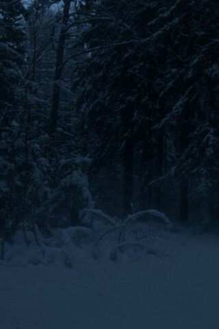 Whispers of Winter: A S..
