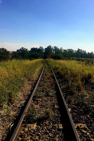 The Train Tracks