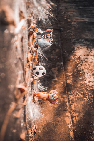 Playful Friends in a Ru..