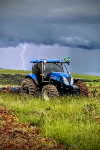 Stormy Fields: The Powe..