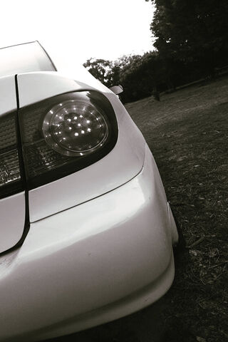 Sleek Elegance: The Toy..