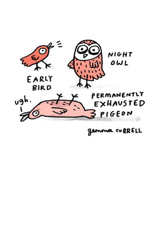 The Bird Life: Early Birds vs. Night Owls 🐦🌙