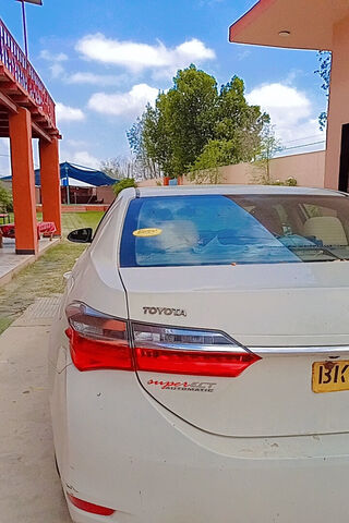 A Glimpse of Everyday Life 🚗🌳