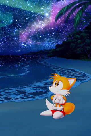 Tails Under the Starry ..
