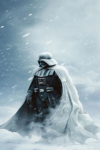 The Dark Side in the Sn..