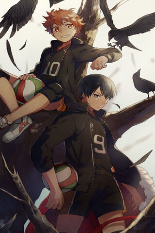 Volleyball