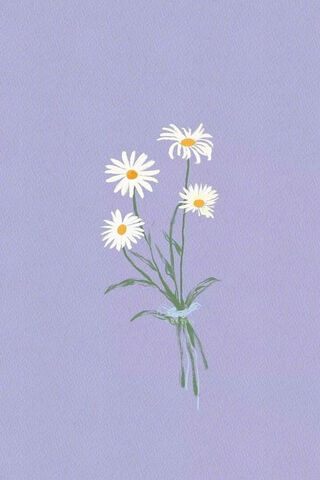 Cheerful Daisies 🌼✨