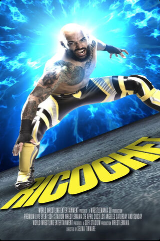 Ricochet: The High-Flyi..