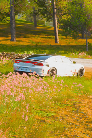 Scenic Drive with a Sle..