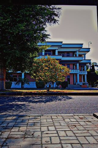 Charming Modern Archite..