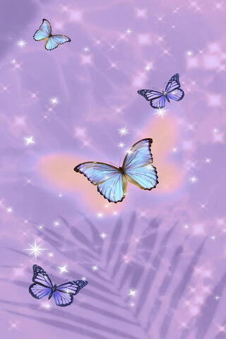 Fly
