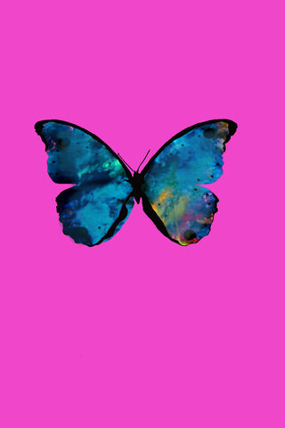 Wonderflythebutterfly