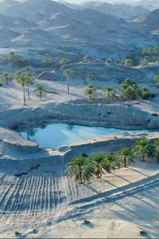 Oasis Serenity 🌴💧