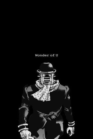 The Mysterious Wonder o..