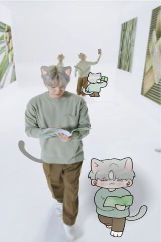 Yoon Y Gato: A Whimsica..