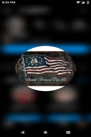 Defiant Spirit: The Gad..