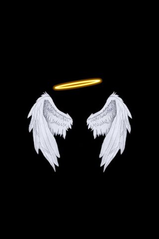 Angelic Wings with Halo ✨