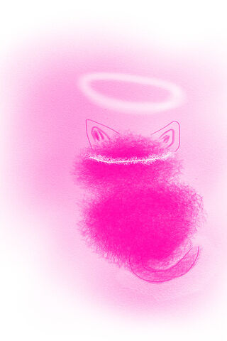 Fluffy Pink Cat with a ..