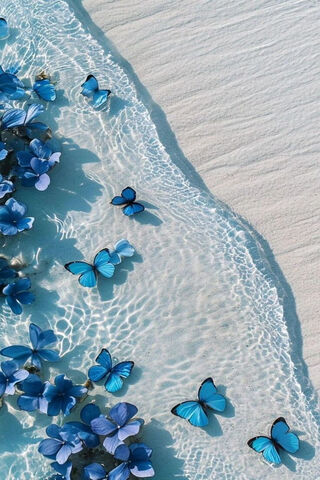 Serenity by the Shore �..