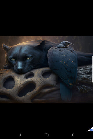 Mystical Companions: Th..