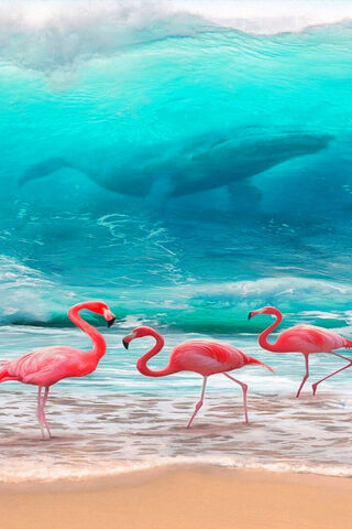 Flamingos and the Ocean..