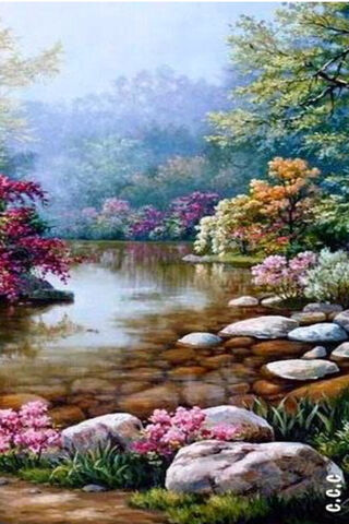 Tranquil Reflections 🌸🌊