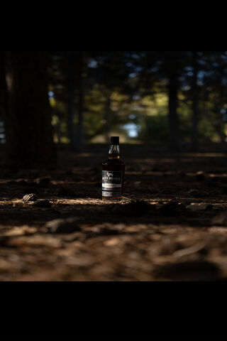 Nature's Spotlight: A B..
