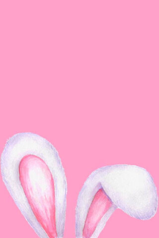 Cute Bunny Ears on Pink 🌸🐰