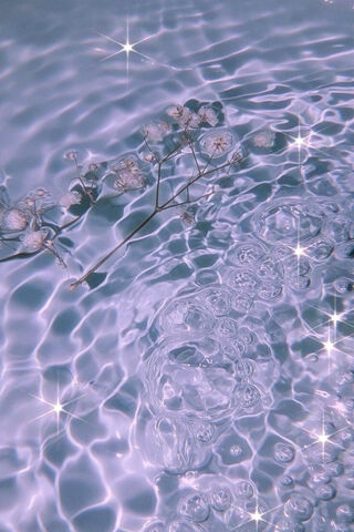 Serene Water Reflection..
