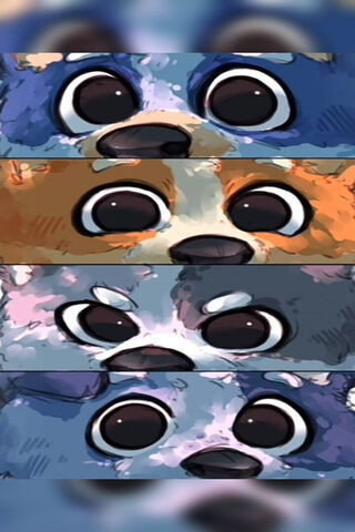 Adorable Eyes of the Ca..