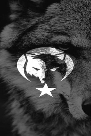 Mysterious Wolf Emblem ..