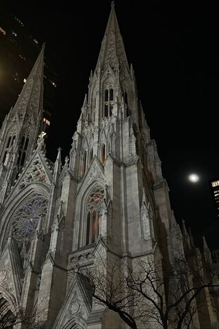 Majestic Night at the Cathedral 🌙✨