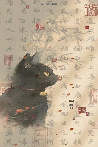 Mystical Black Cat 🐾✨