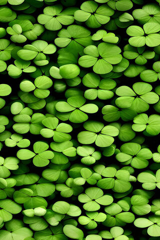 Lush Green Clover Carpe..