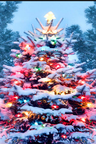 Magical Winter Wonderla..