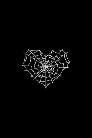Heart-Shaped Spider Web..