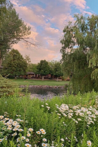 Serene Lakeside Retreat 🌼🌅