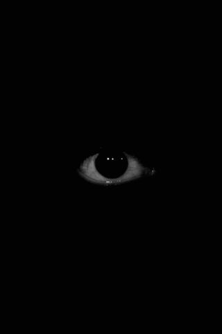 The Watchful Eye of Car..