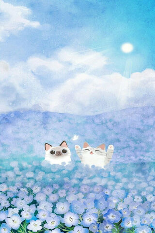 Whiskers in Wonderland ..