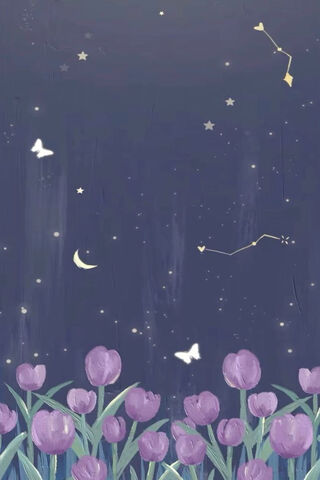 Enchanted Night 🌙✨