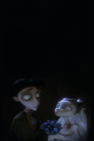 A Timeless Love Story 💍✨