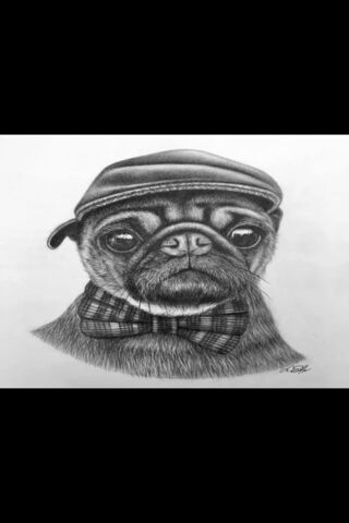 Dog Drawing