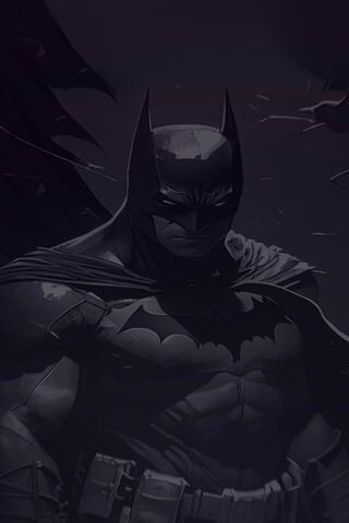 Dark Knight in Shadows 🦇