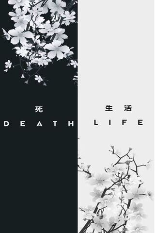 The Duality of Existenc..