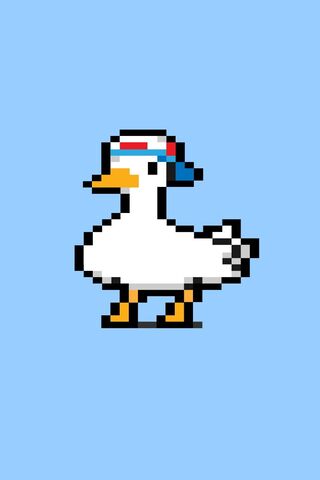 Pixelated Duck Adventur..