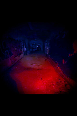 Haunting Halls of Aband..