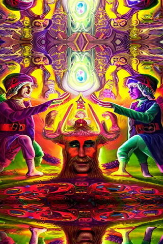 DMT Machine Elves