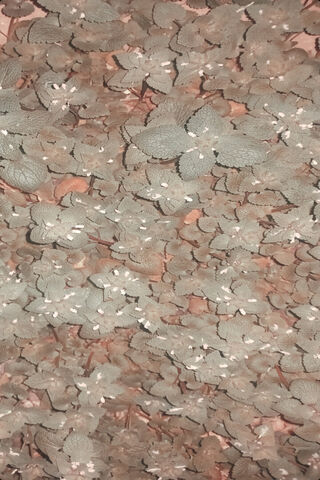 Delicate Floral Pattern..