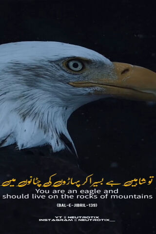 Soaring Spirit 🦅